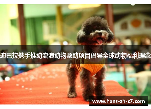 迪巴拉携手推动流浪动物救助项目倡导全球动物福利理念